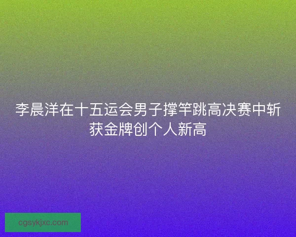 李晨洋在十五运会男子撑竿跳高决赛中斩获金牌创个人新高